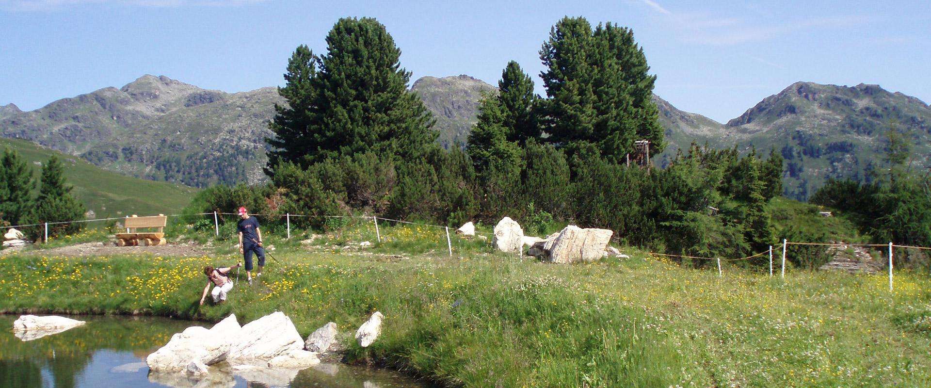 Wandern im Sommer im Zillertal